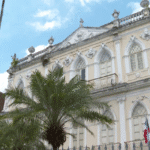 MP denúncia ex-servidores do Inema e fazendeiros por corrupção e crimes ambientais na Bahia; esquema movimentou R$ 16,5 mi