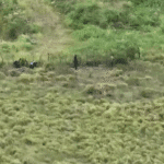 Disputa entre facções rivais no Recôncavo Baiano e confronto com a polícia: confira cronologia da operação que deixou 9 mortos