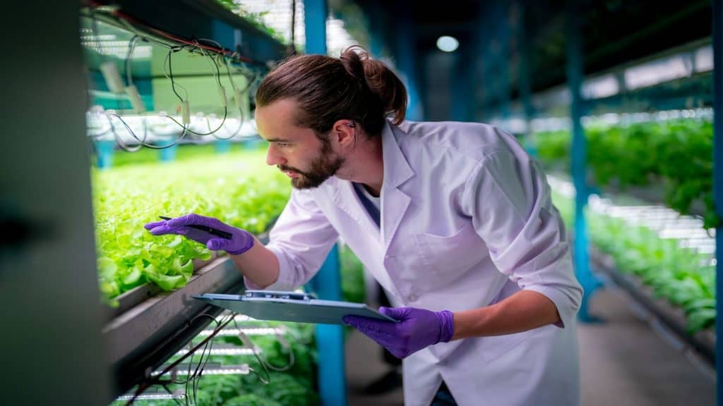 Dentro do ecossistema de uma fazenda vertical hidropônica em estufa. Fazenda urbana de hidroponia com trabalhador inspecionando salada, pesquisadora agrícola feminina e masculino trabalhando em uma estufa.