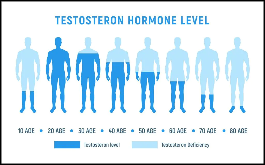 Nível do hormônio testosterona cai em homens adultos ao longo dos anos